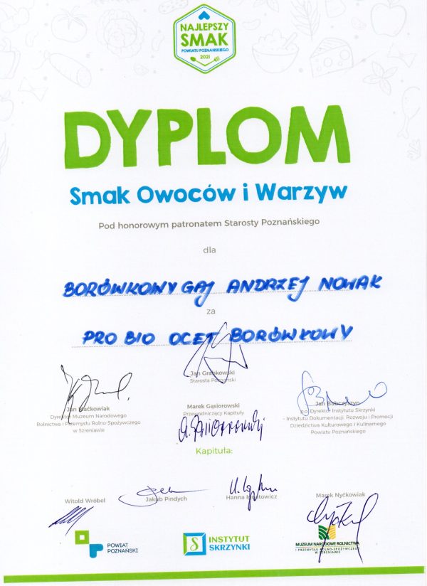Ocet borówkowy 500ml - obrazek 2