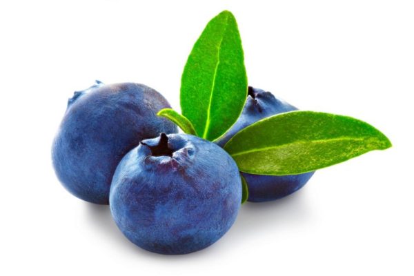 Pro Bio Borówka Amerykańska 1kg