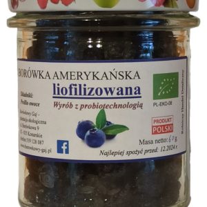 Borówka liofilizowana 60g