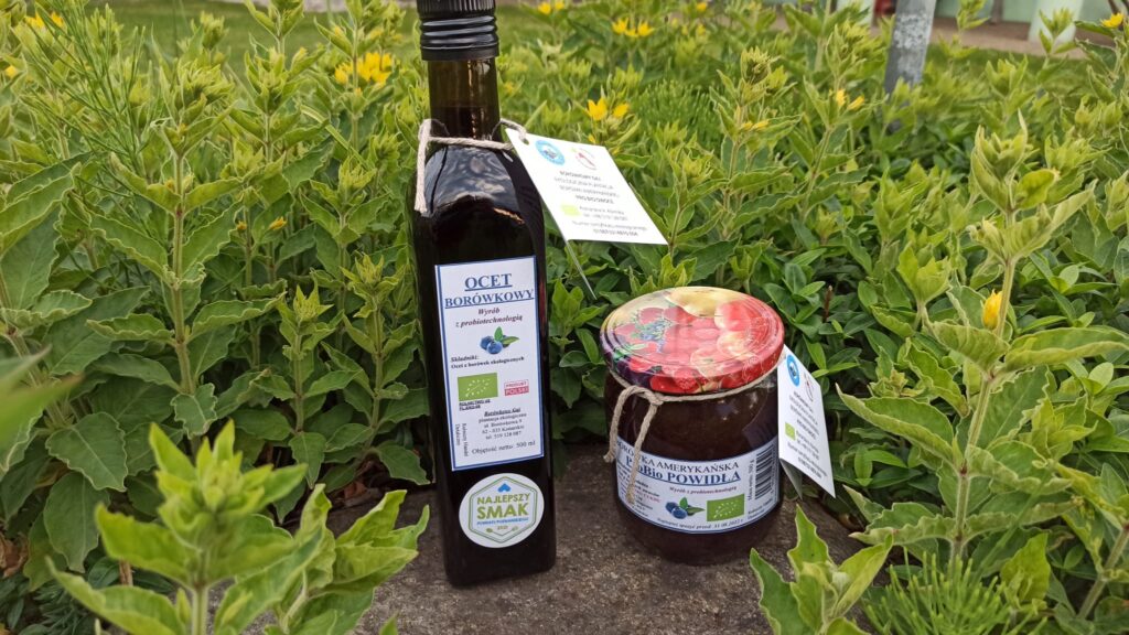 Ocet borówkowy