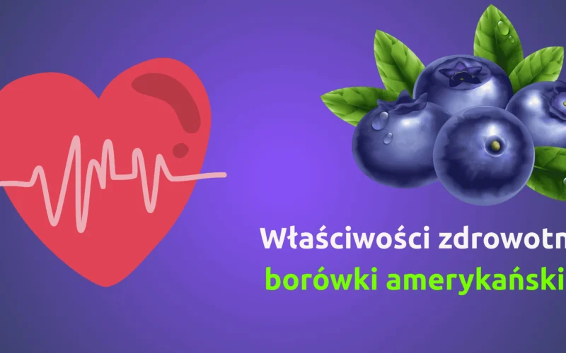 Właściwości zdrowotne borówki amerykańskiej – naturalny sposób na zdrowie