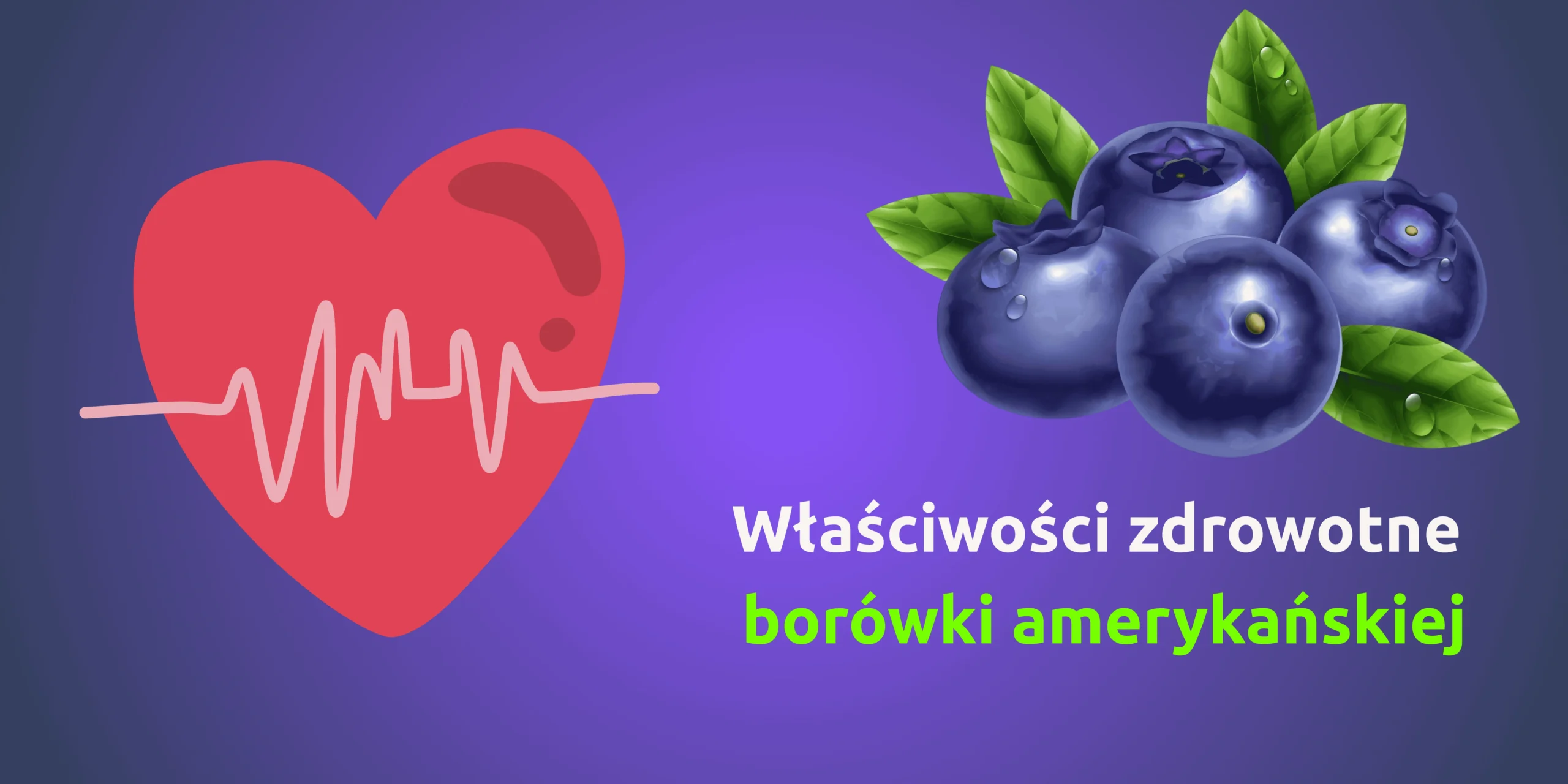 Właściwości zdrowotne borówki amerykańskiej - Borówkowy Gaj - Baner wpisu
