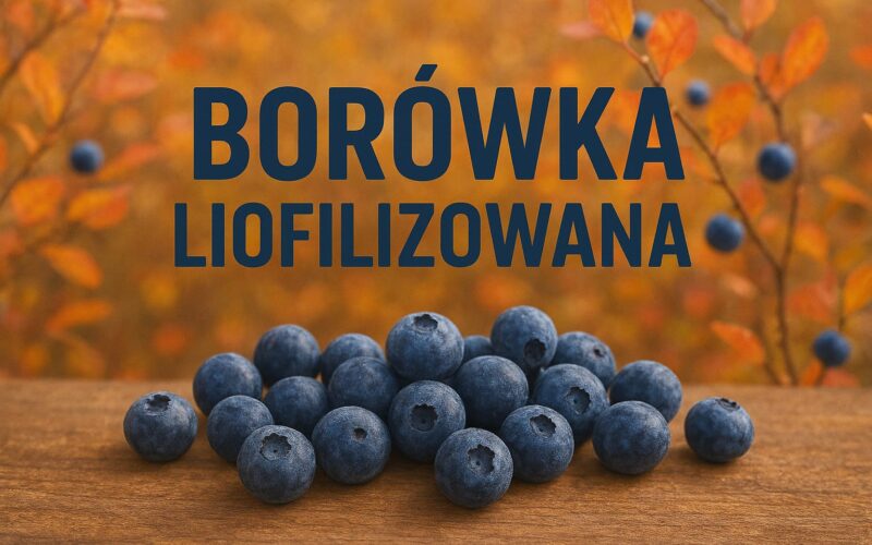 Borówka liofilizowana