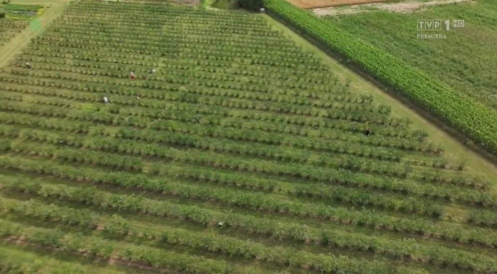 Magazyn rolniczy TVP1